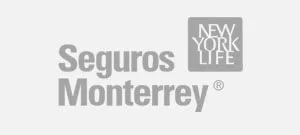 Seguros Monterrey - Helios Herrera